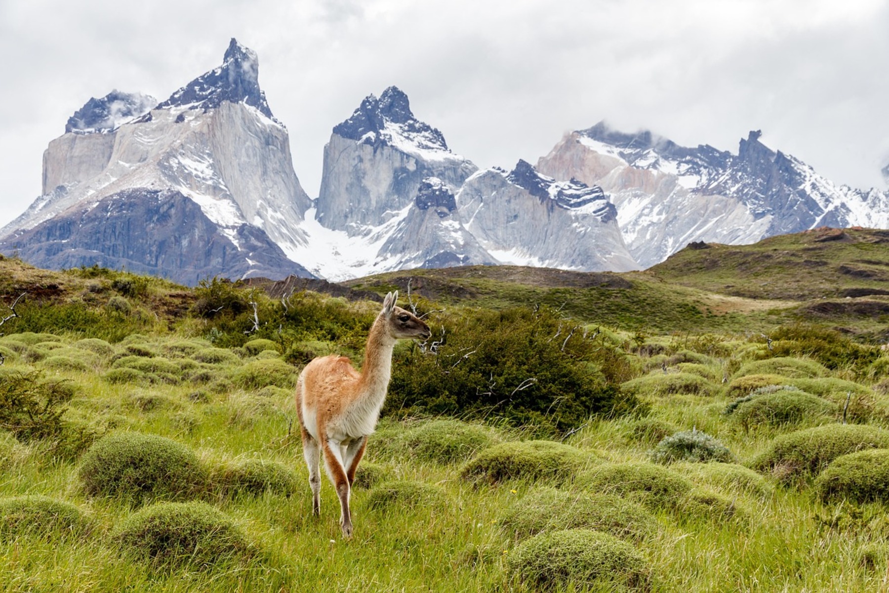 Torres del Paine y Cueva del Milodon